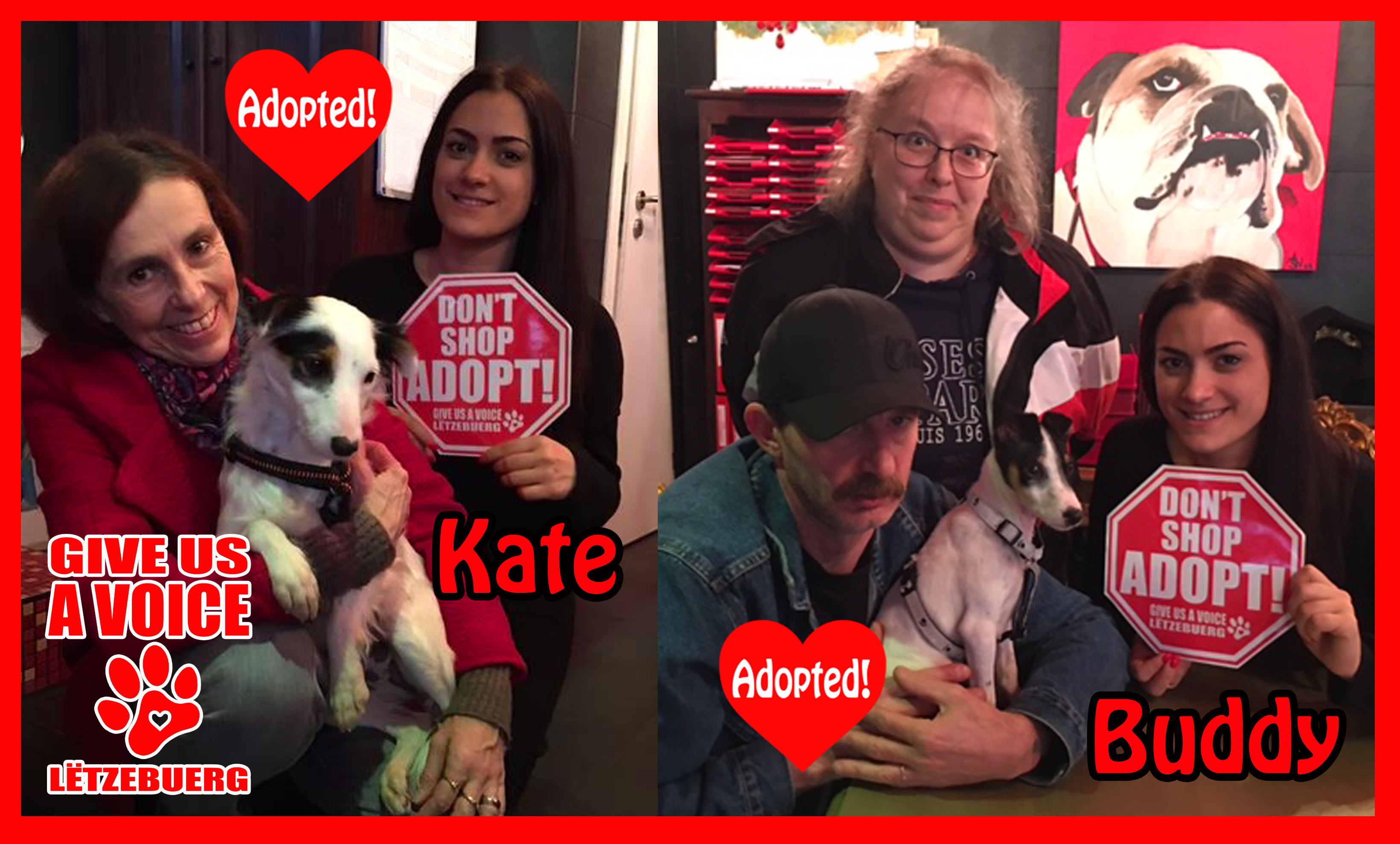 Buddy and Kate Adopted! copy