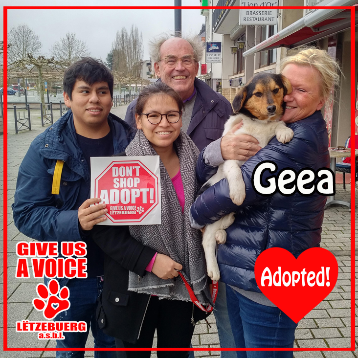 Geea adopted! copy