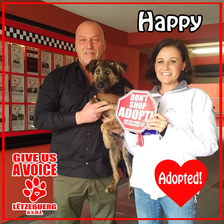 Happy Adopted! copy