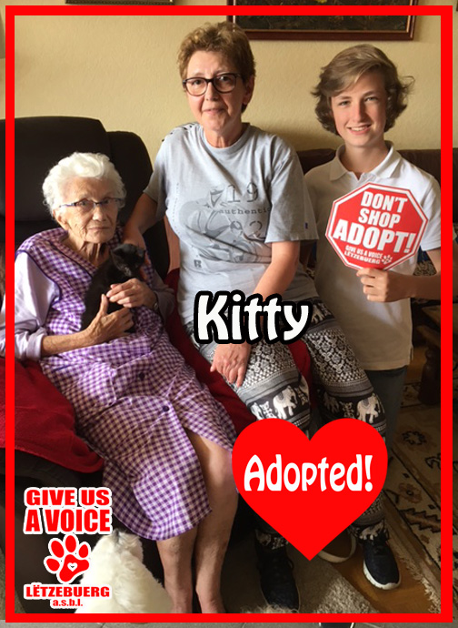 Kitty Adopted! copy