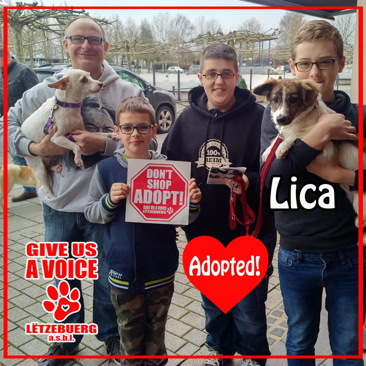 Lica Adopted! copy