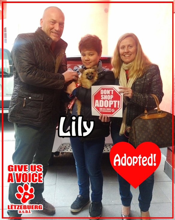 Lily Adopted!