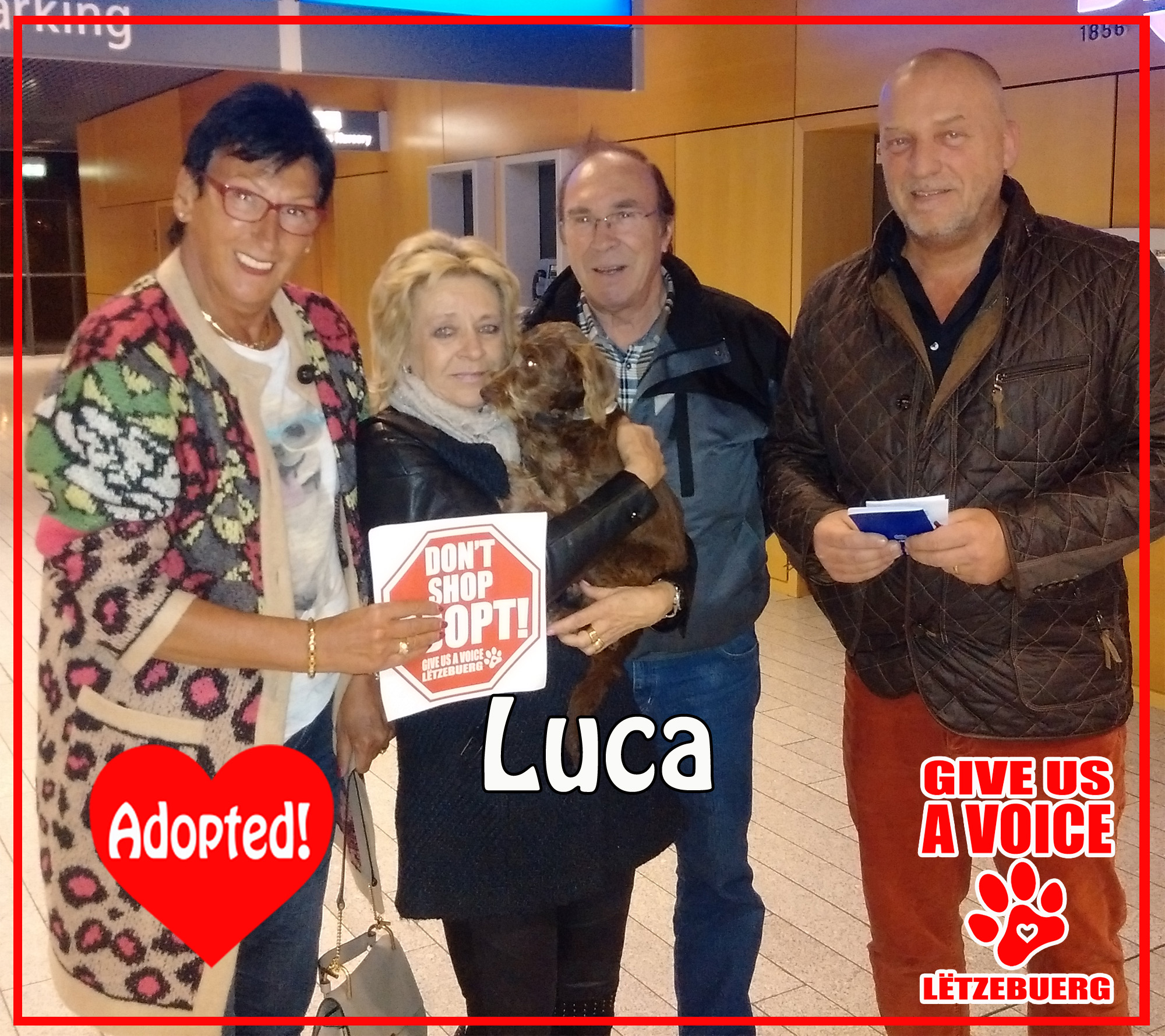Luca adopted! copy