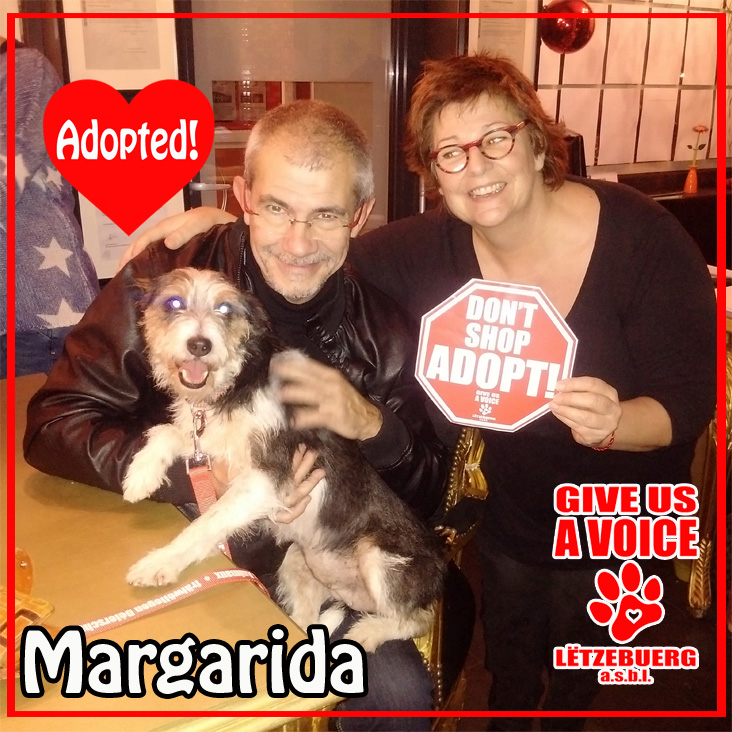 Margarida Adopted copy