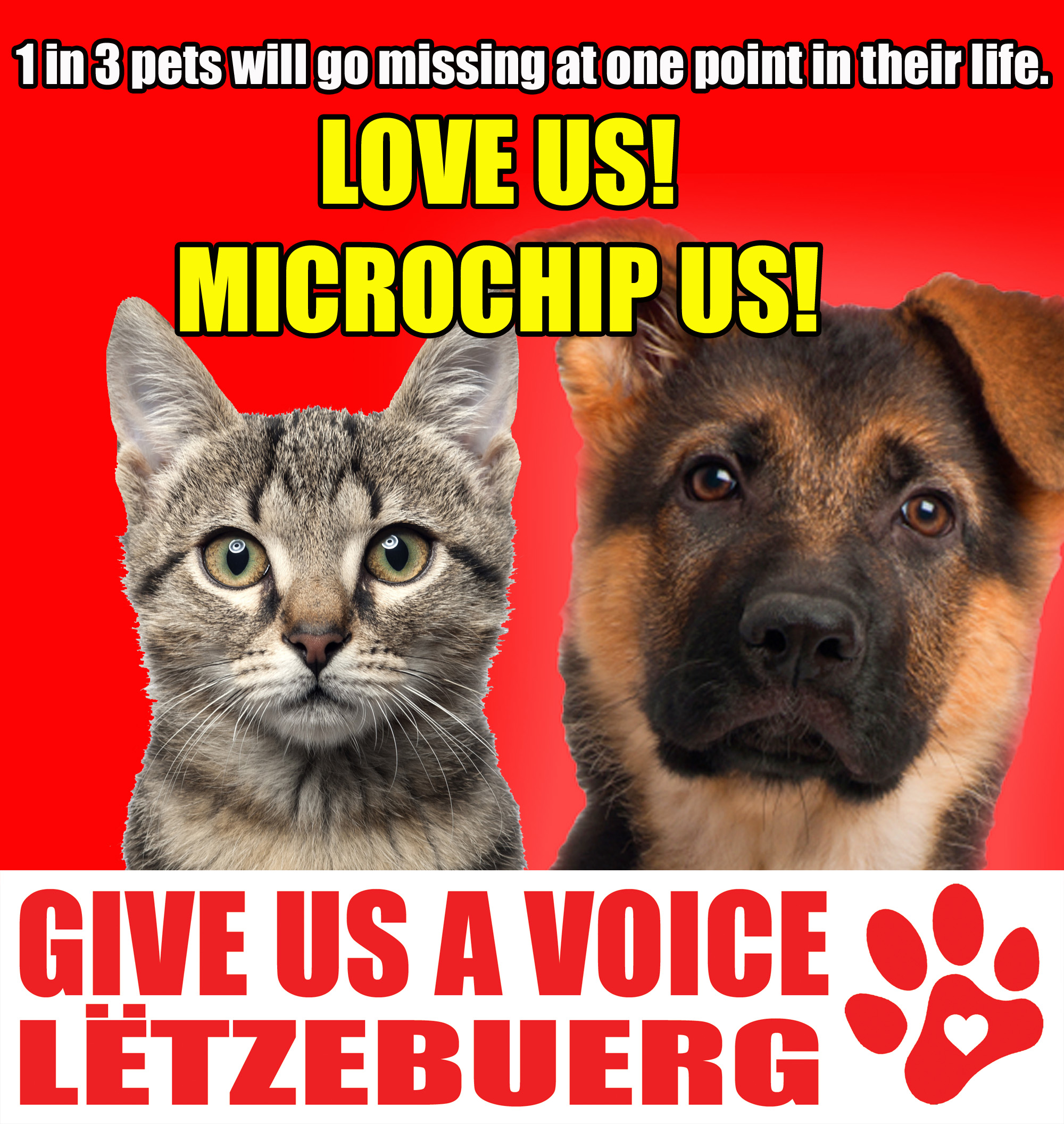 Microchip your pets copy