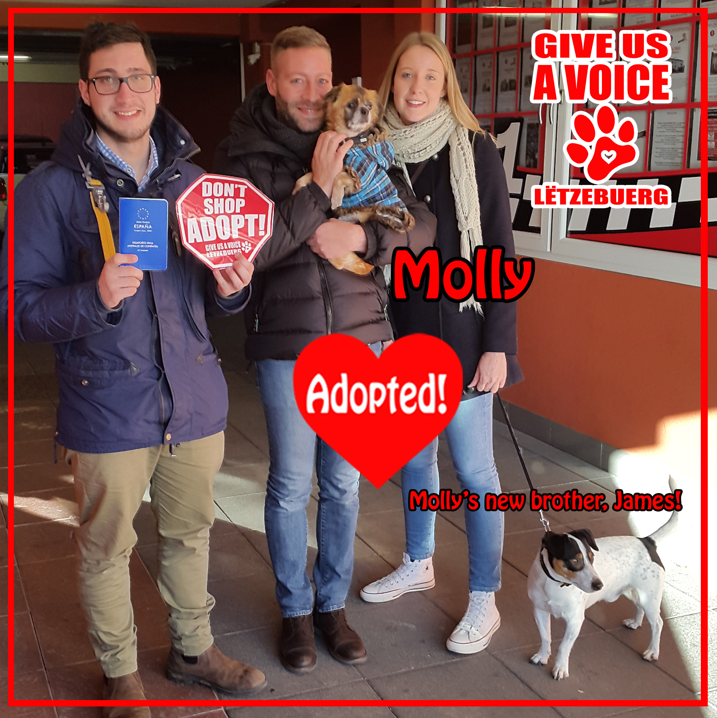 molly-adopted-copy