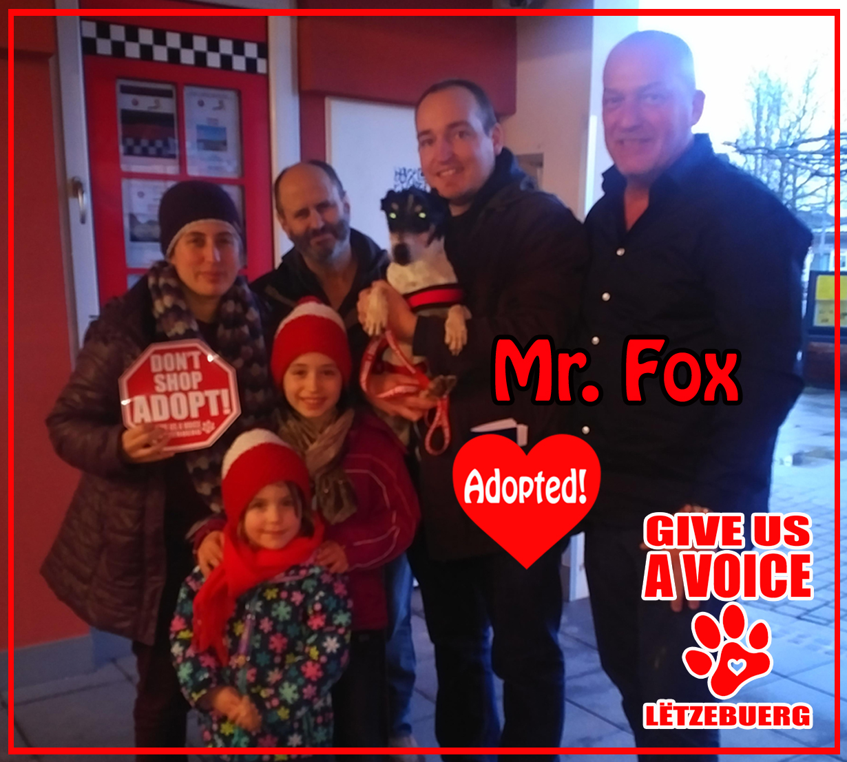 Mr. Fox Adopted! copy