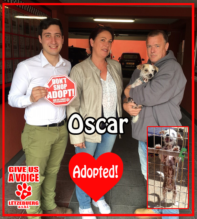 Oscar adopted! copy