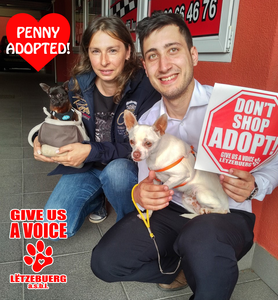 Penny adopted copy