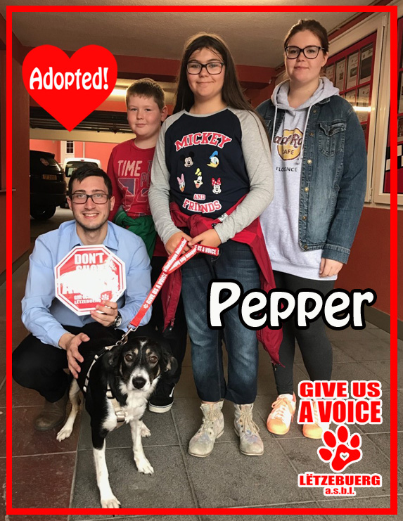pepper-adopted-copy