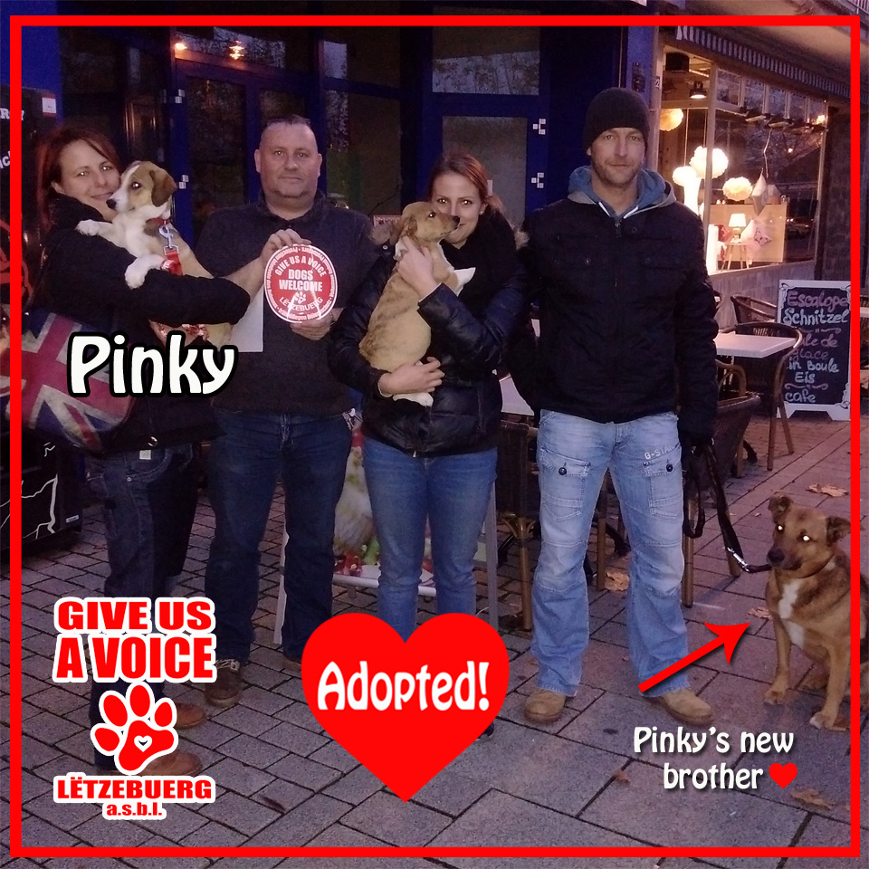 Pinky's adopted! copy