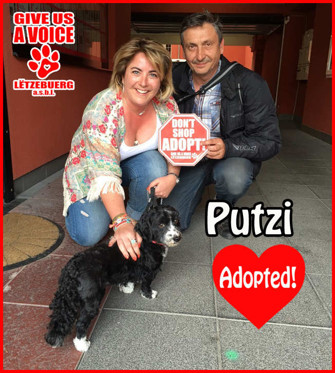 Putzi adopted! copy