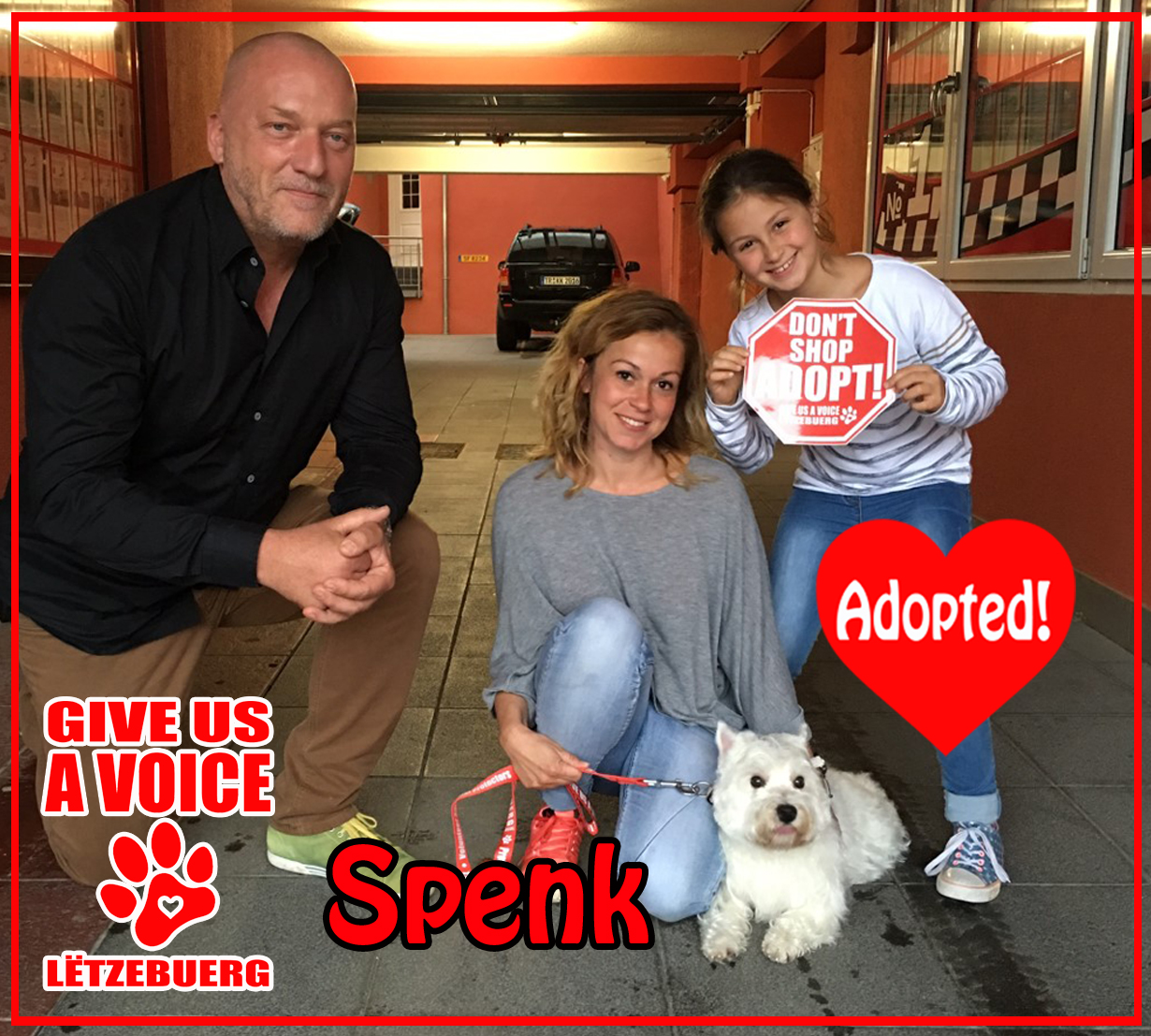 Spenk Adopted! copy