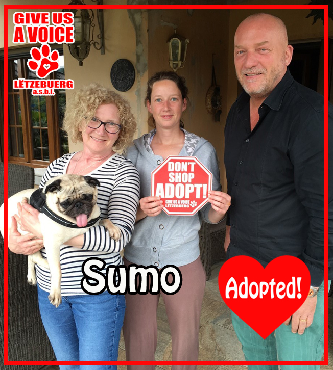 Sumo adopted! copy