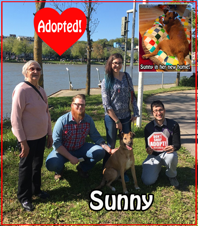 Sunny adopted! copy