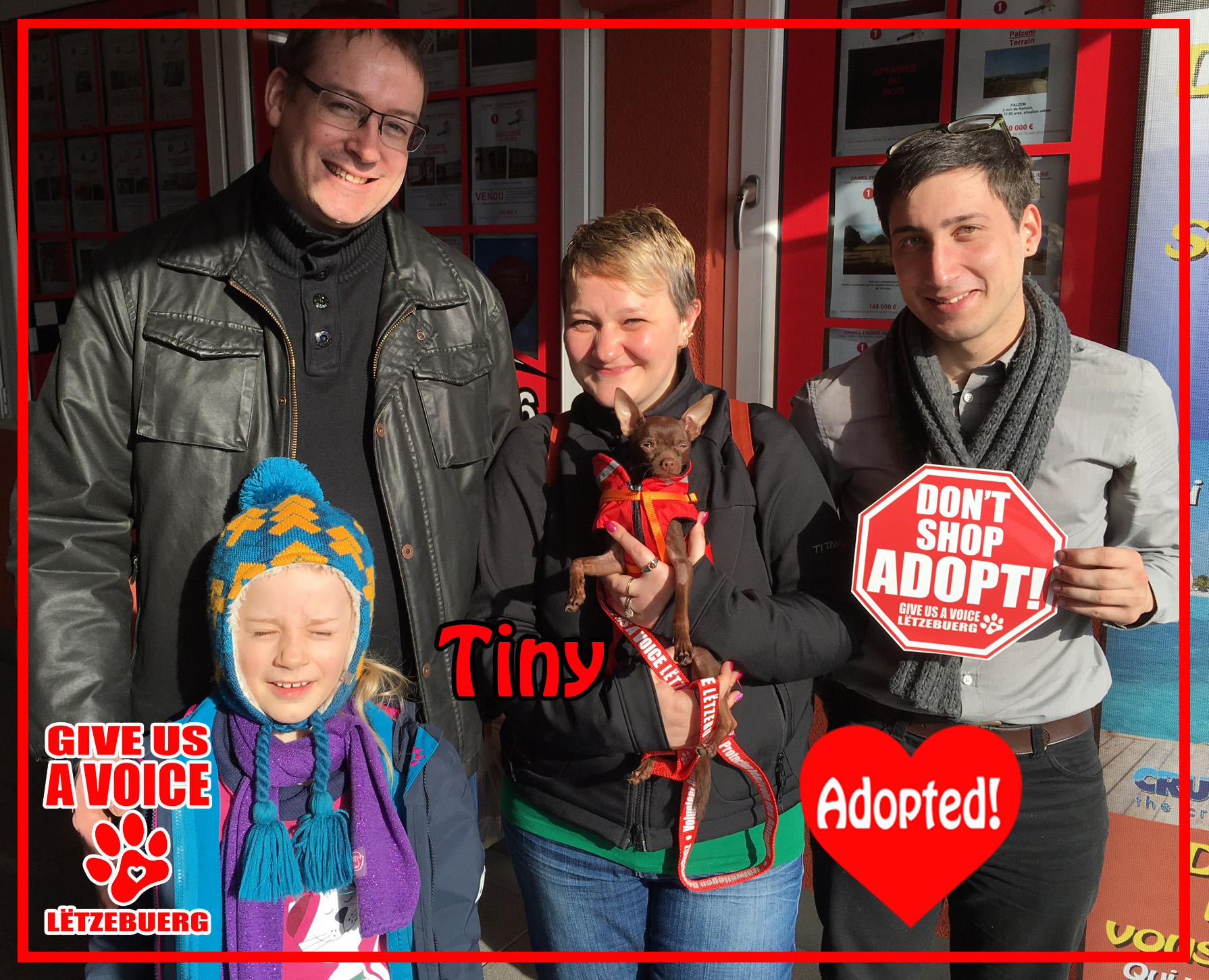 Tiny Adopted! copy