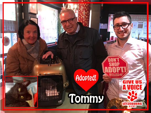 tommy-adopted-copy