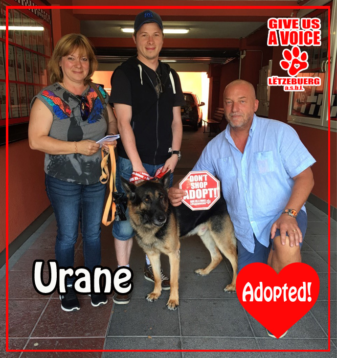 Urane Adopted copy