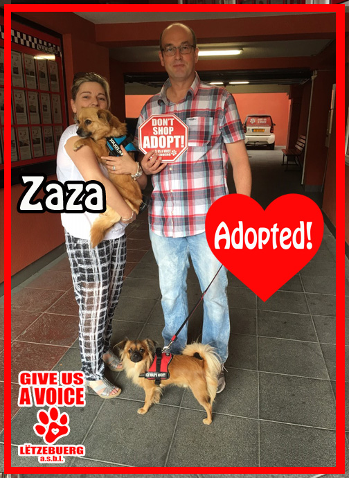 Zaza Adopted! copy
