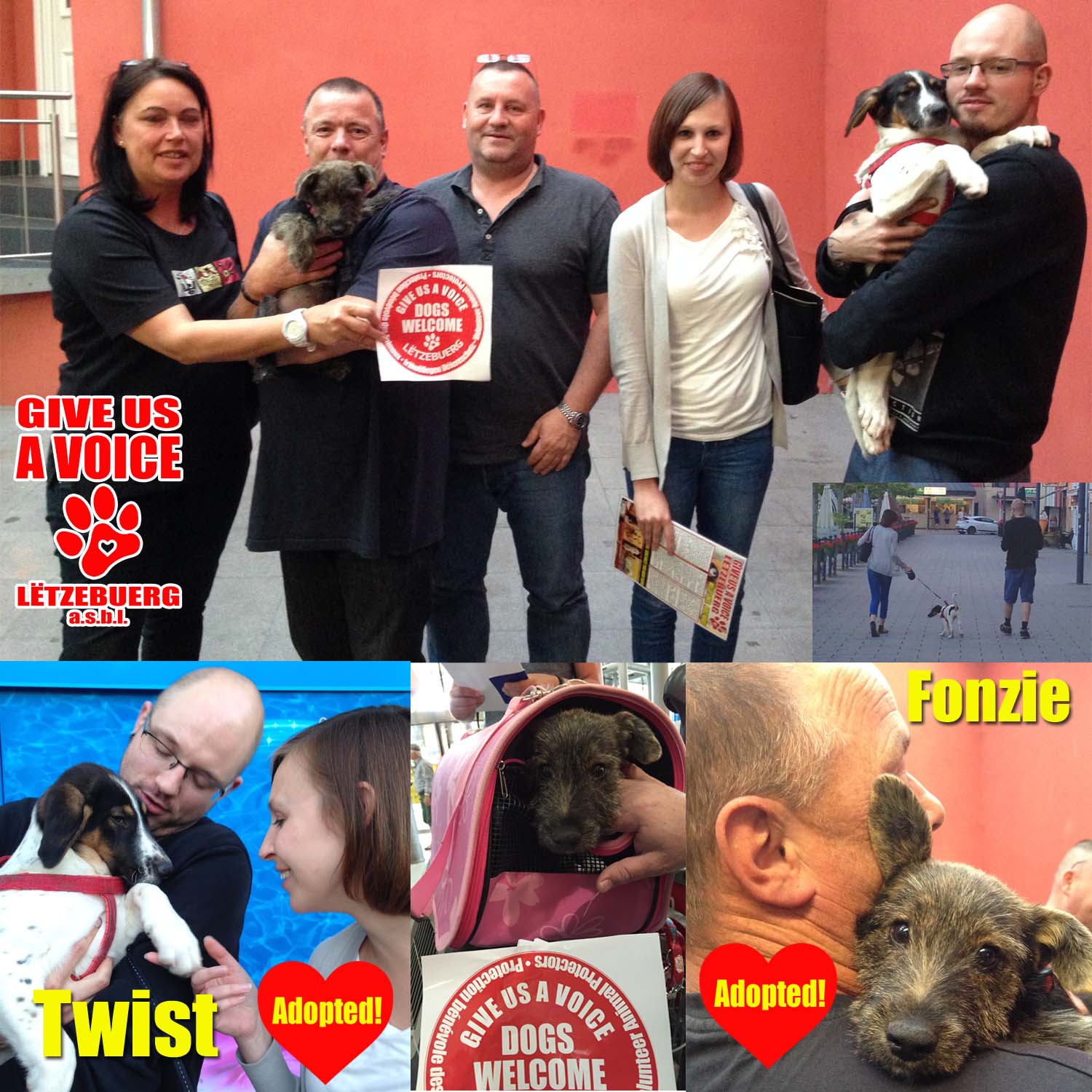 Fonsi and Twist Adopted! copy
