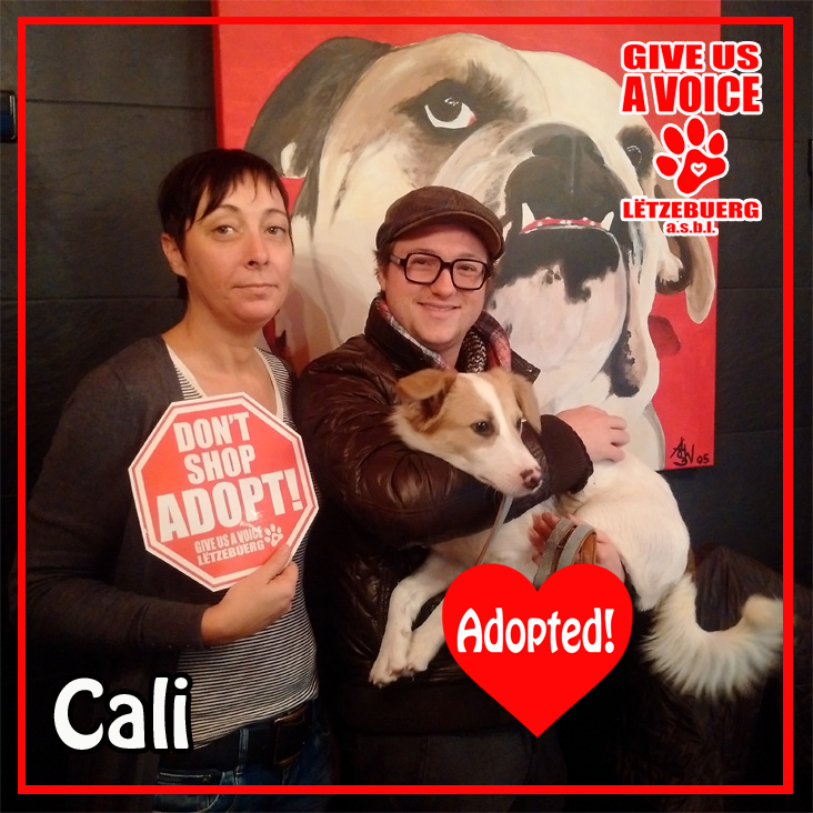 Cali Adopted copy