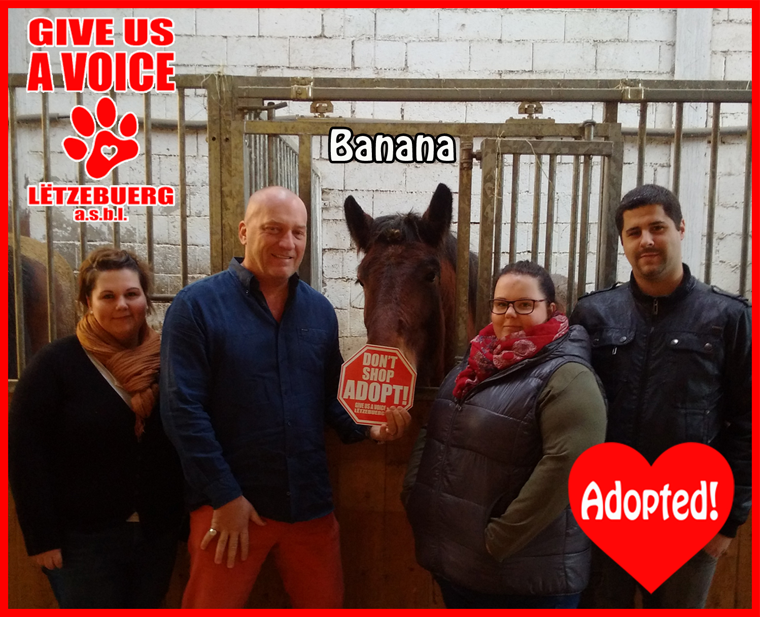 Banana Adopted! copy