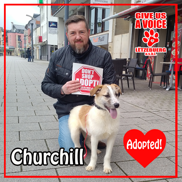 Churchill Adopted! copy