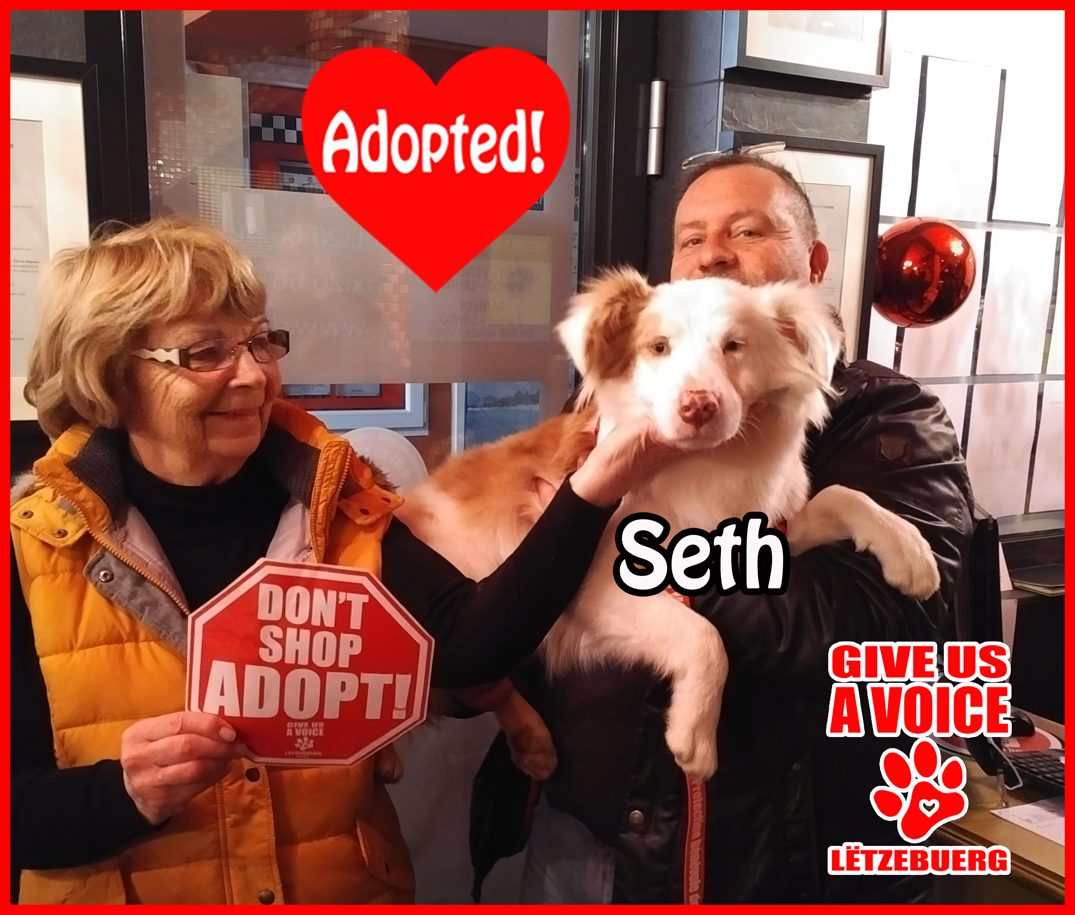 Seth Adopted! copy