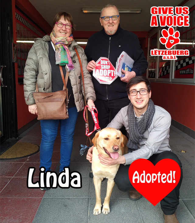 Linda adopted! copy