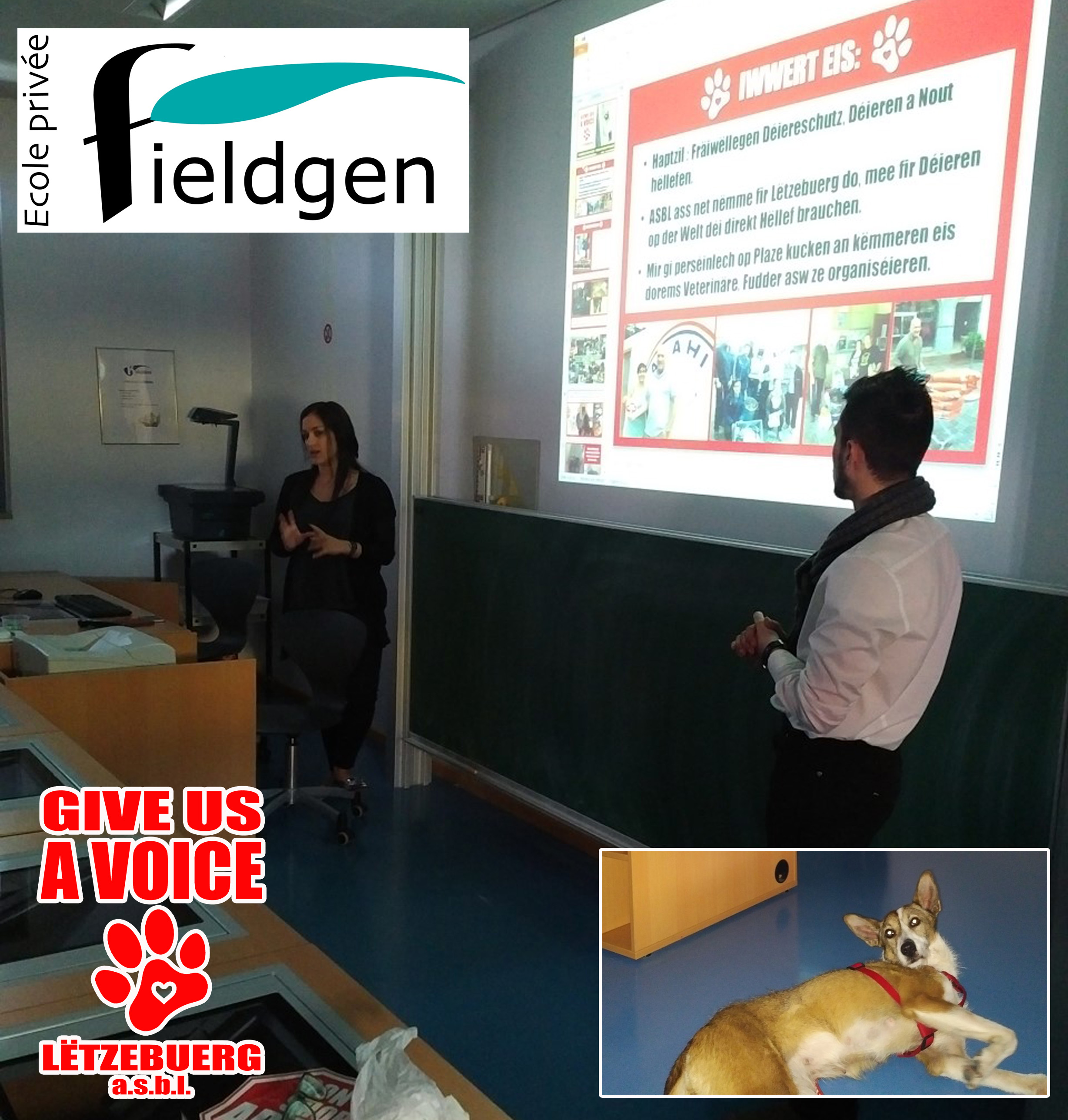 Fieldgen presentation copy