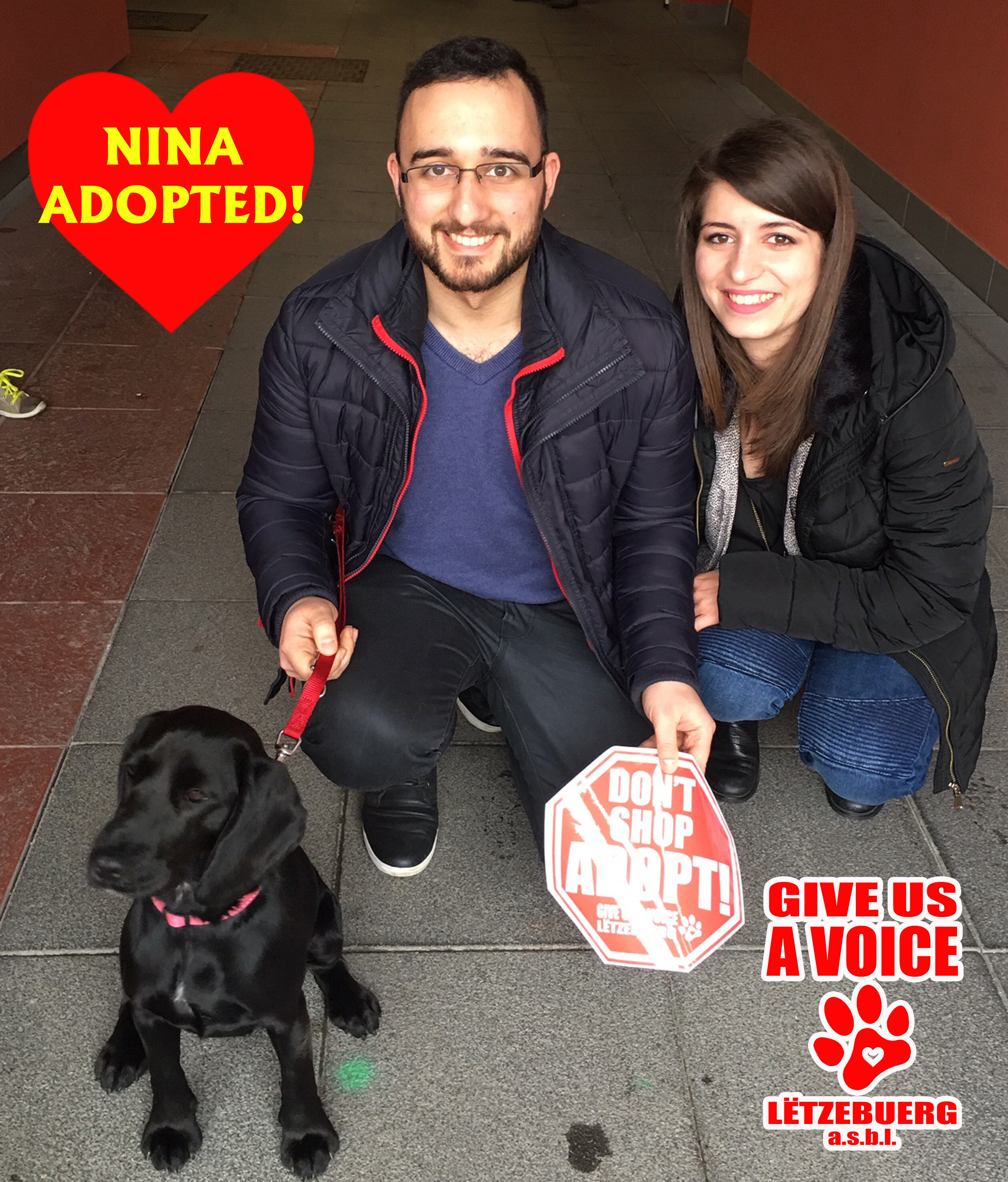 Nina adopted! copy