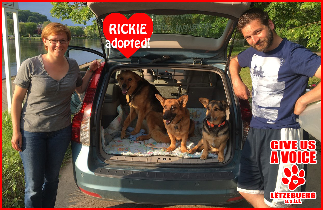 Rickie adopted copy