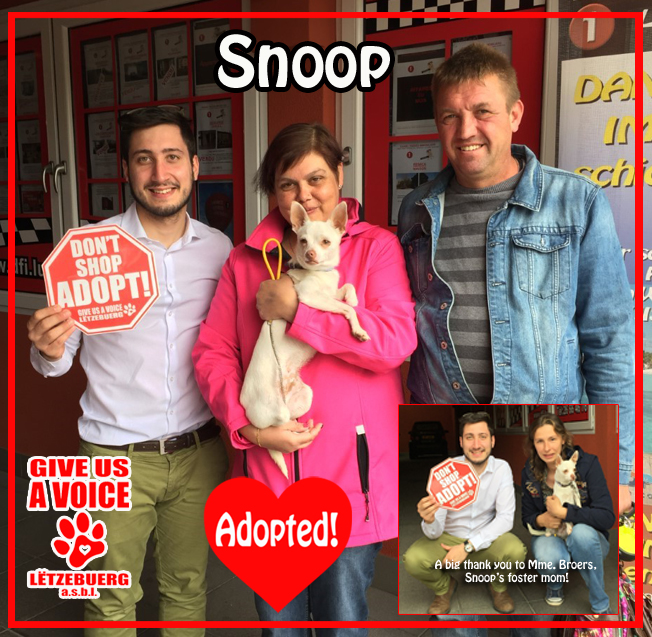 Adopted! copy