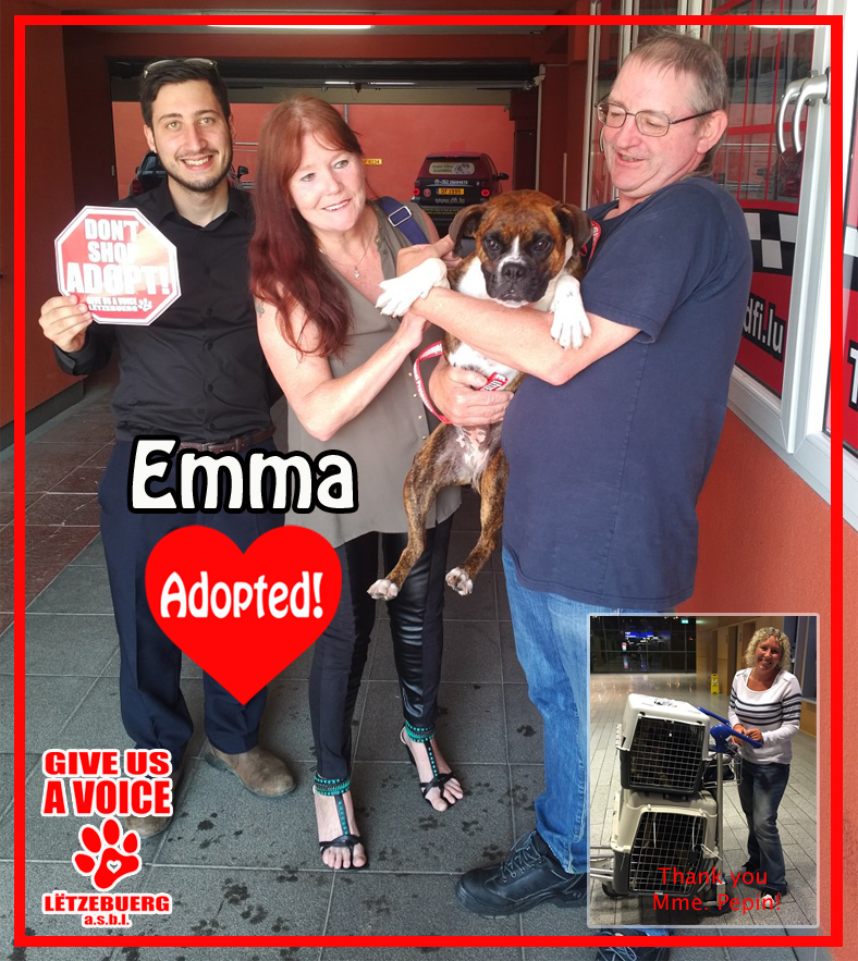 Emma adopted! copy