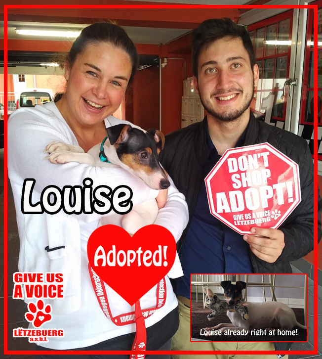 Louise adopted! copy