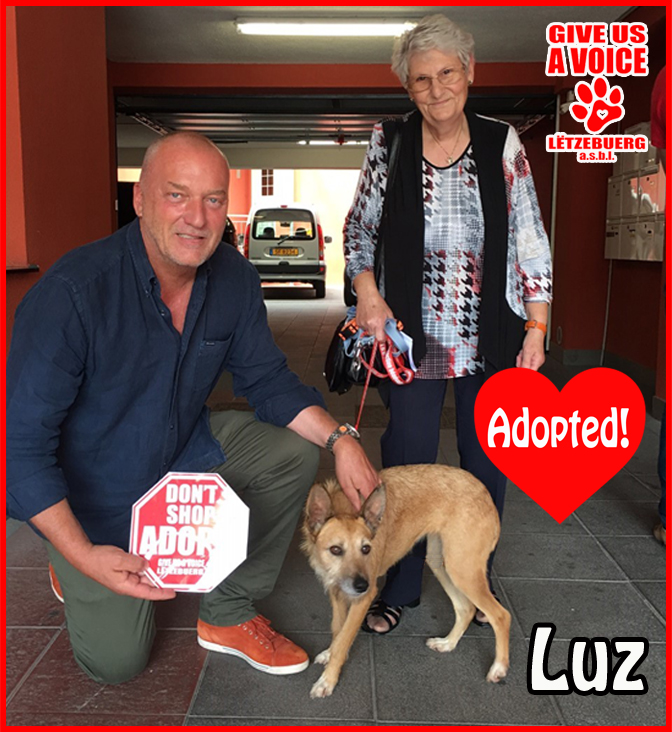 Luz adopted copy