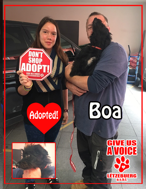 Boa adopted! copy