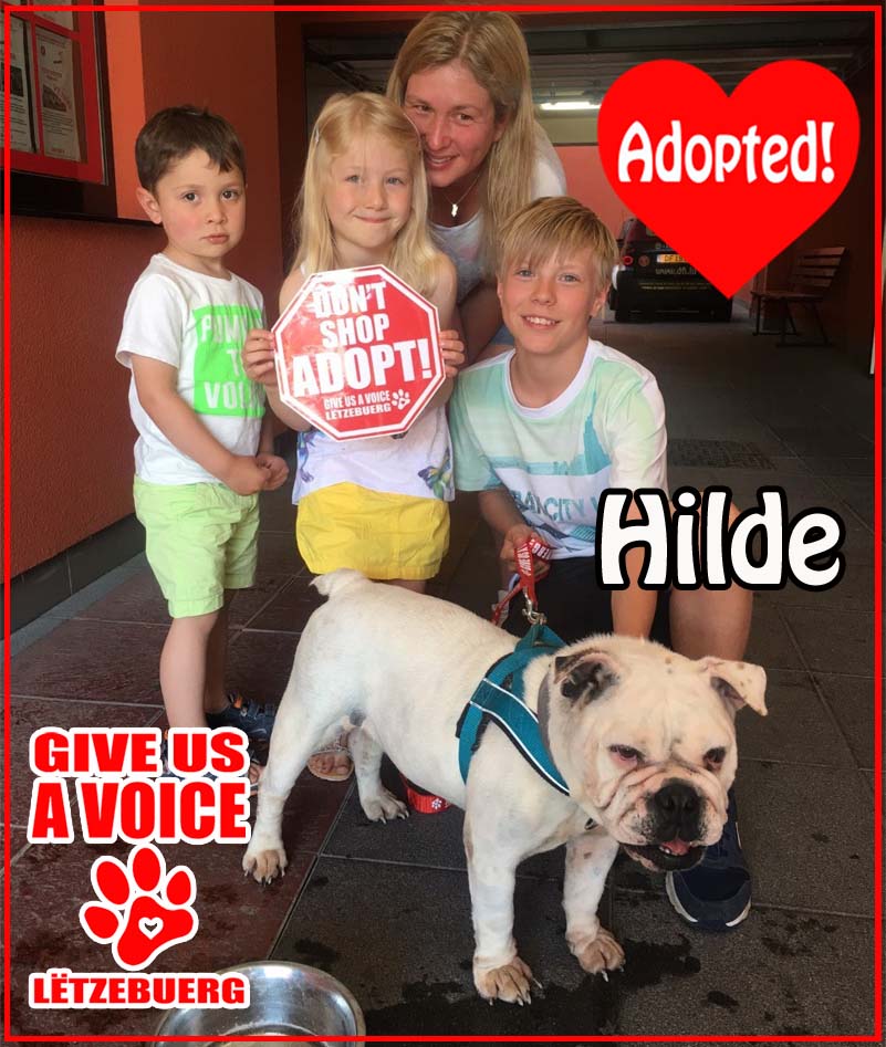Hilde Adopted! copy