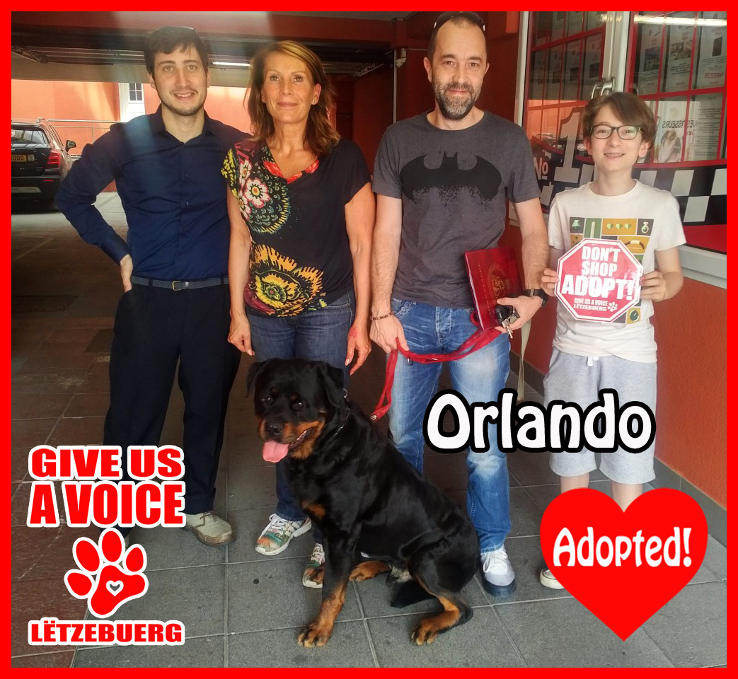 Orlando Adopted!