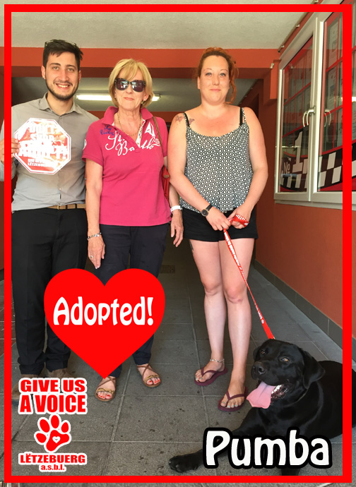 Pumba Adopted! copy