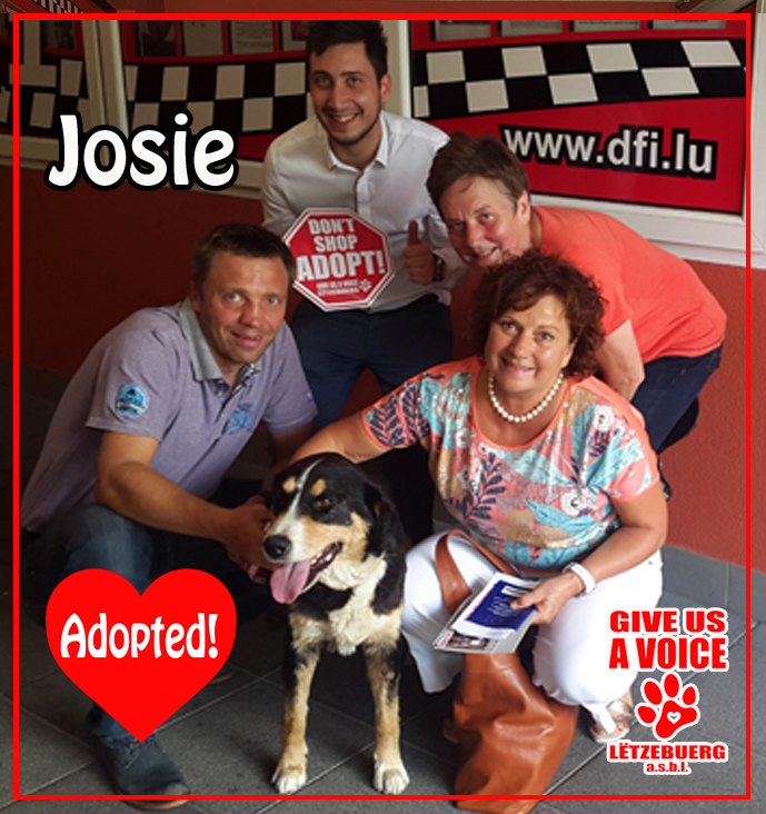 Josie Adopted! copy