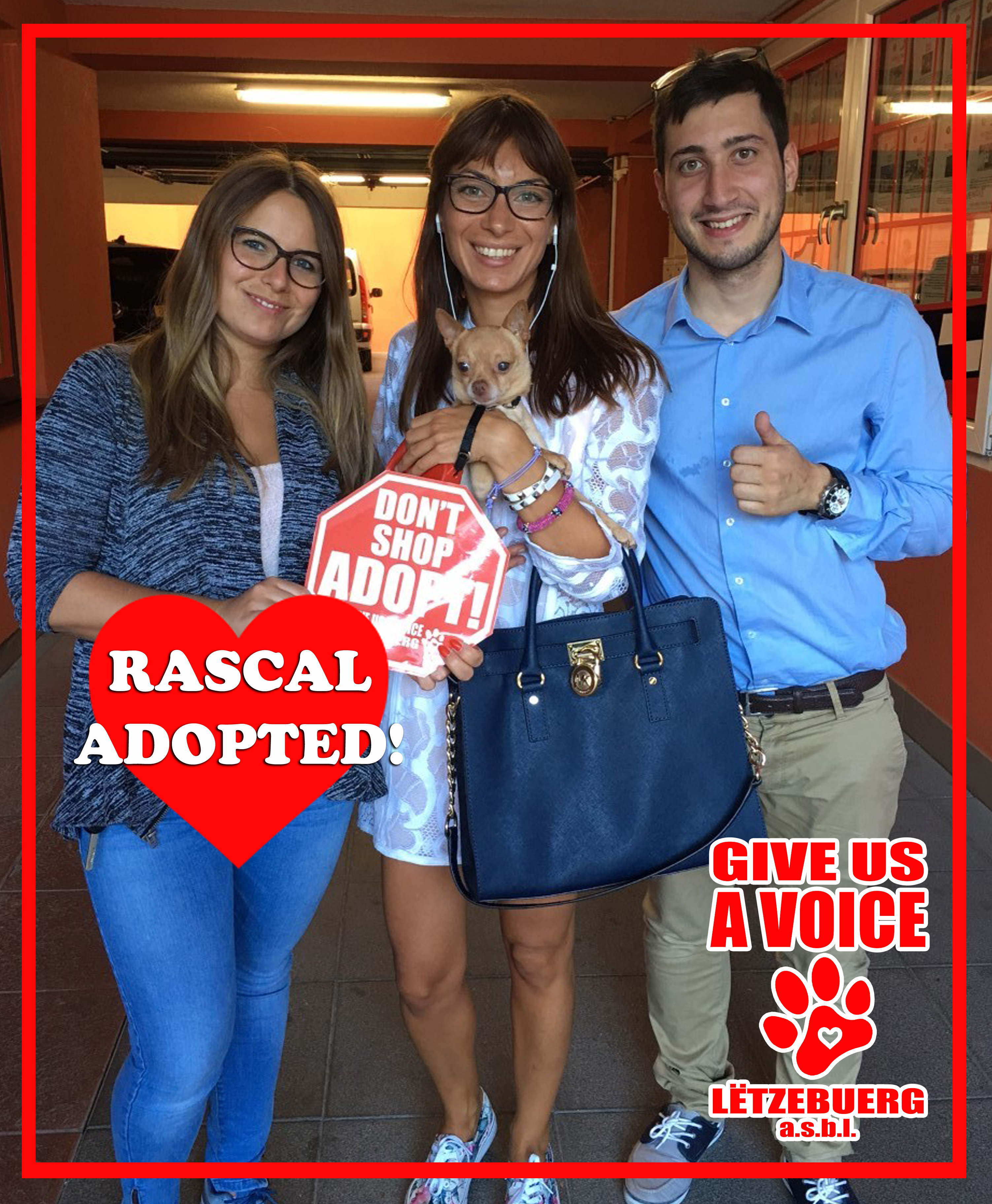 Rascal Adopted! copy