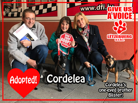 cordelea-adopted-copy