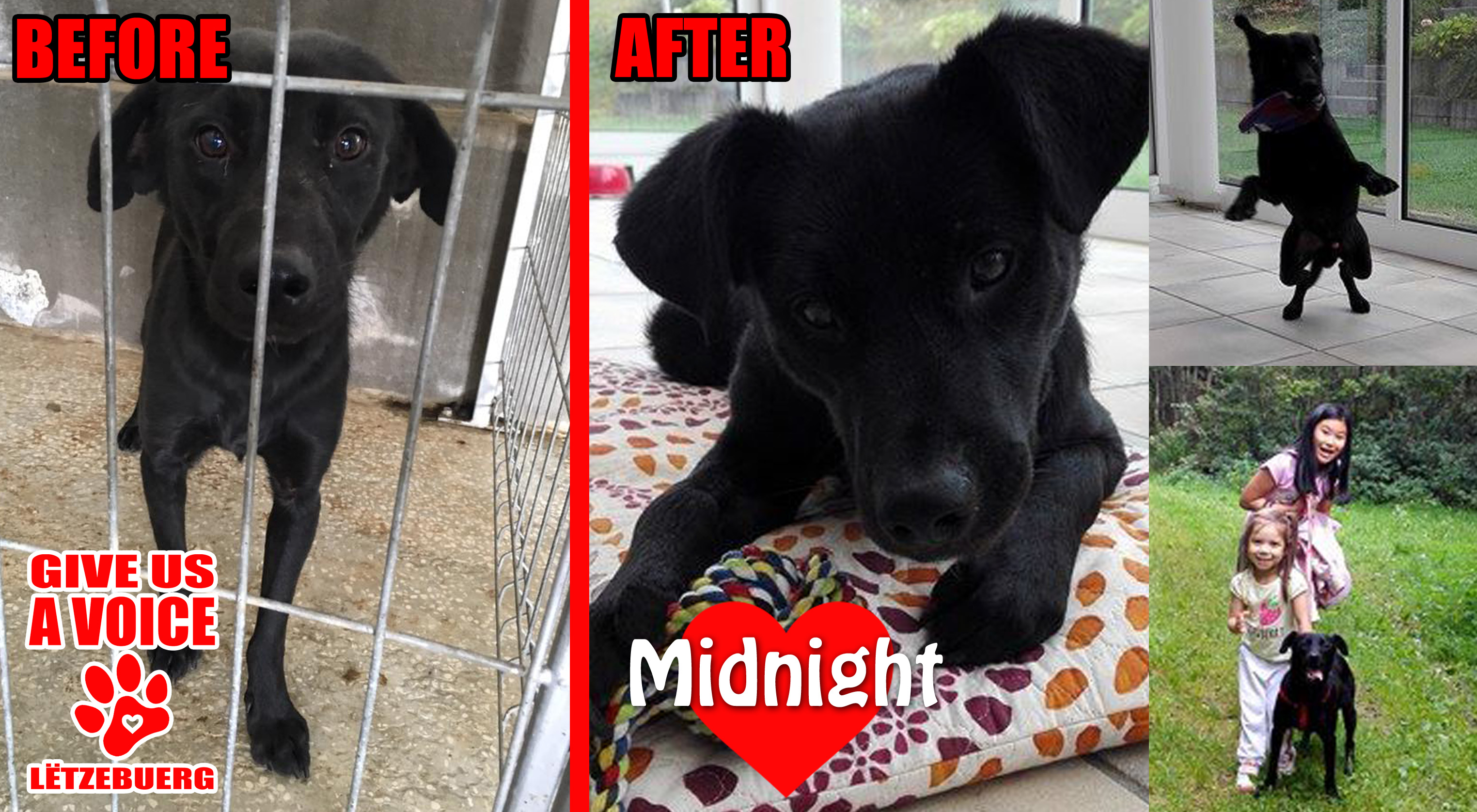 midnight-before-and-after-copy