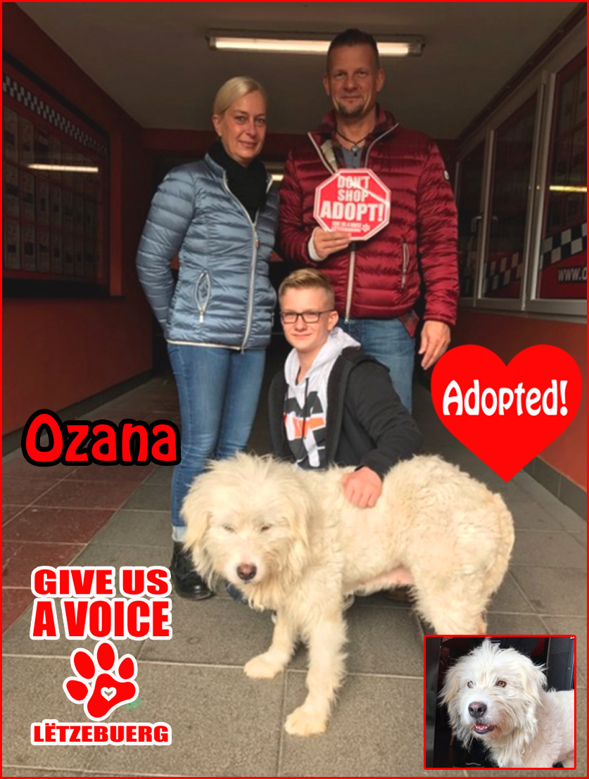 ozana-adopted-copy