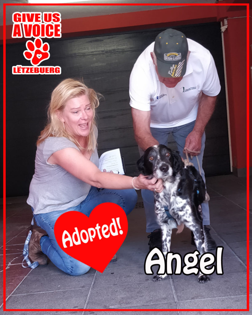 Angel finds heaven on earth! | Give Us A Voice